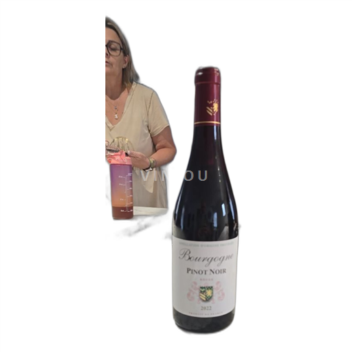 Vin Rouge sec Pinot noir Cellier de Saint Jean 2022 France Bourgogne AOC
