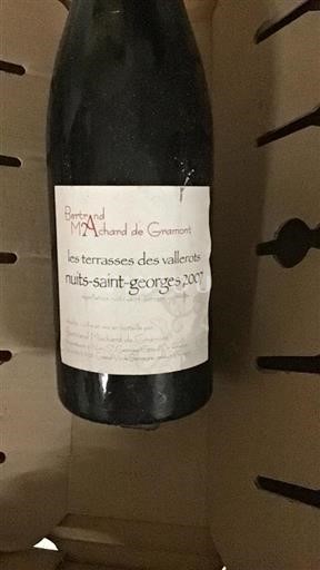 Burgundija Nuits-Saint-Georges Bertrand Machard de Gramont Les Terrasses des Vallerots 2007