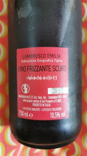 Emilia-Romagna Wines Unspecified Vino Frizzante Scuro Non-Vintage