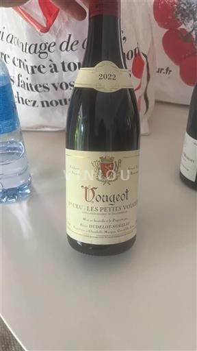 Borgoña Vougeot Premier Cru Hudelot-Noellat Les Petits Vougeot 2022