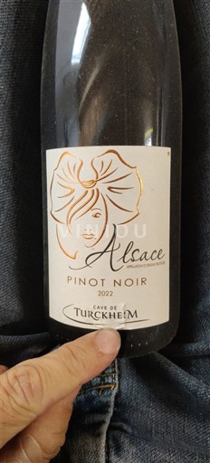Alsace Cave de Turckheim 2022