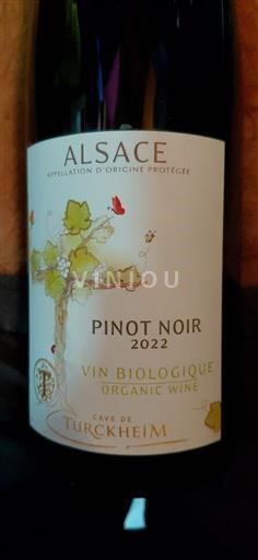 Alsace Cave de Turckheim 2022