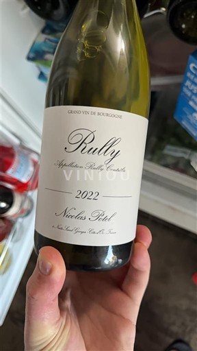 Burgundija Rully Nicolas Potel 2022