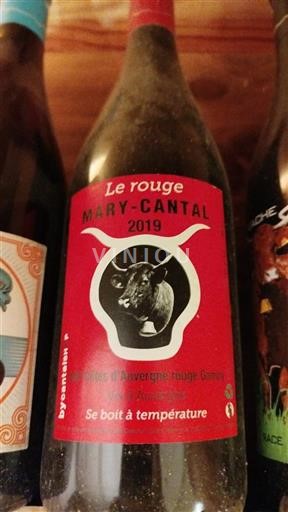 Valle della Loira Côtes-d'Auvergne Mary-Cantal Le rouge 2019