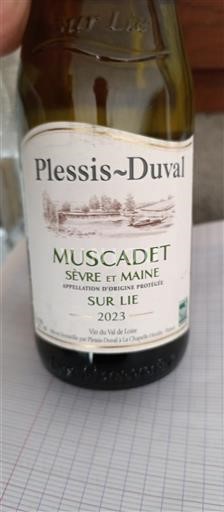 Dolina Loare Muscadet-sèvre-et-maine Plessis-Duval Sur Lie 2023