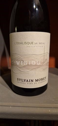 Valle del Rodano Luberon Sylvain Morey L'Odalisque 2022