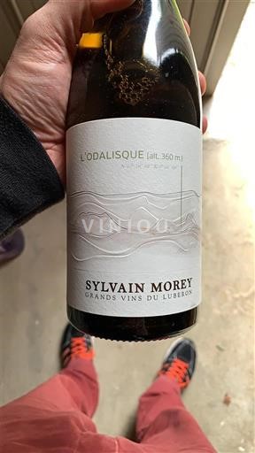 Thung lũng Rhône Luberon Sylvain Morey L'Odalisque 2022