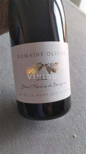 Loirevallei Saint-Nicolas-De-Bourgueil Domaine Olivier Le Mont des Olivier 2022
