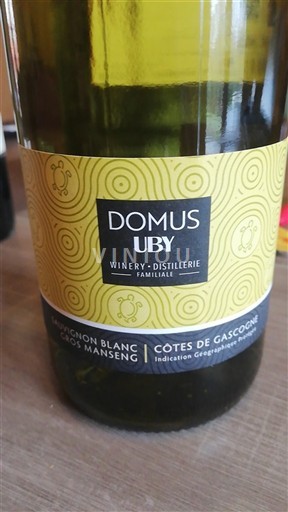 Sud-Ouest Côtes de Gascogne Domus Uby 2024