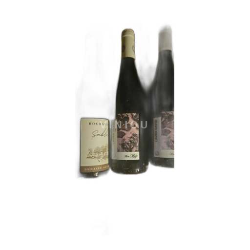 Vin Rouge sec Mon mojo Laura David 2021 France Vallée de la Loire Vin de France nature