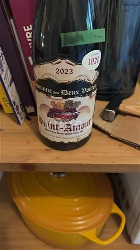 Beaujolais Saint-Amour Domaine Des Deux Voûtes 1920 2023