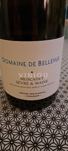 Loire-dalen Muscadet-Sèvre-et-Maine Domaine Bellevue 2019