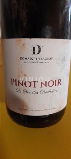 Valle della Loira Non specificato Domaine Delaunay Le Clos des Rochettes 2022
