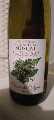 Languedoc-Roussillon Côtes du Brian Plaisir de Vigne 2024