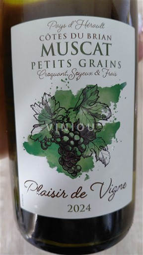 Vin Blanc sec Plaisir de Vigne 2024 France Languedoc et Roussillon Côtes du Brian IGP