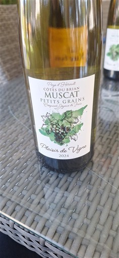 Languedoc và Roussillon Côtes du Brian Plaisir de Vigne 2024