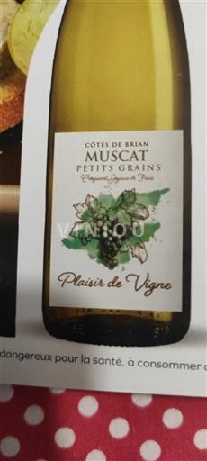 Languedoc và Roussillon Côtes du Brian Plaisir de Vigne 2024