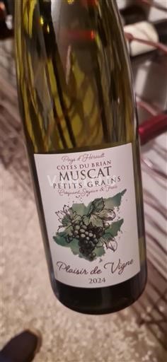 Languedoc e Roussillon Côtes do Brian Plaisir de Vigne 2024