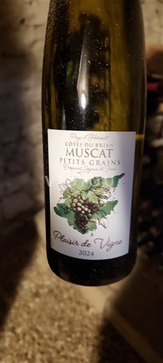 Лангедок и Русијон Брјанске обале Plaisir de Vigne 2024