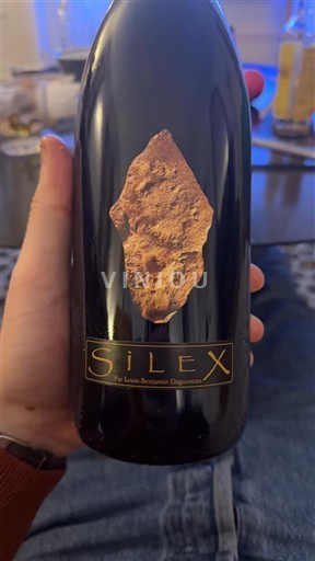 Loire-dalen Pouilly-fumé Domaine Didier Dagueneau Silex 2022