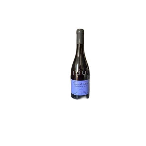 Bourgondië Niet gespecificeerd Sylvain Pataille Fleur de Pinot 2020