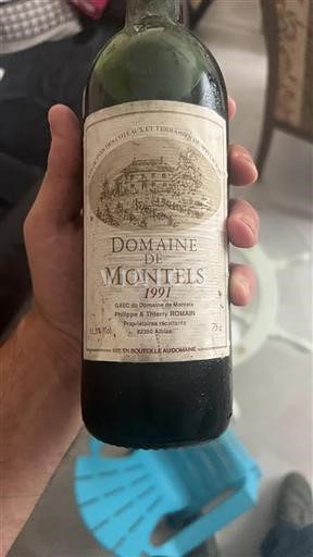 Sydväst Ospecificerad Domaine Montels 1991
