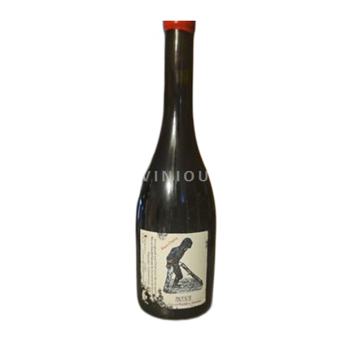 Loire Valley Anjou Julien et Frédéric Moreau Black Cherry 2021
