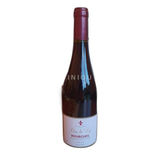 Dolina Loare Bourgueil Duc de Lys 2023