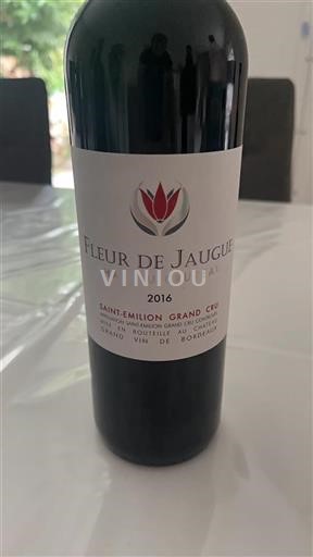 Vin Rouge sec Fleur de Jaugue Château Cruzeau 2016 France Bordeaux Saint-Émilion Grand Cru AOC Grand Cru