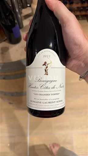 Burgundy Hautes Côtes de Nuits Domaine Laurent Soyer Les Grandes Toppes 2022