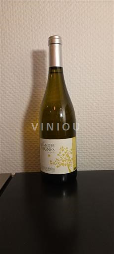 Vin Rouge sec Non Filtré Les Grandes Vignes 2021 France Vallée du Rhône Côtes-du-rhône AOC