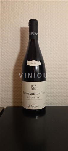 Bourgogne Ospecificerad Premier Cru Domaine Henri Delagrange Les Bertins 2019