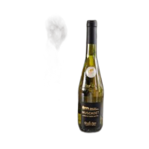 Vin Blanc sec Goislot Papin Domaine Haute Cour de la Débaudière Non millésimé France Vallée de la Loire Muscadet-sèvre-et-maine AOC