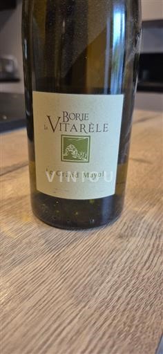 Vin Blanc sec Le Grand Mayol La Borie de la Vitarèle 2020 France Languedoc Saint-Chinian AOC