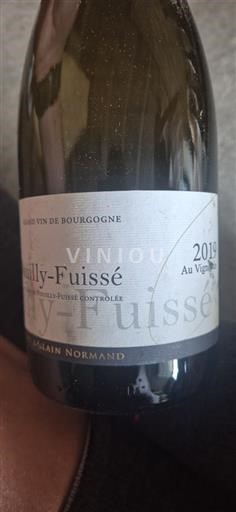Bourgogne Pouilly-fuissé Domaine Alain Normand Au Vignieu 2019