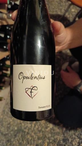 Alsace Ikke specificeret Domaine FLECK Opulentus 2018