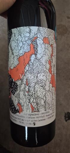 Sudoeste Madiran GAEC des vignes Las Aspalières 2021