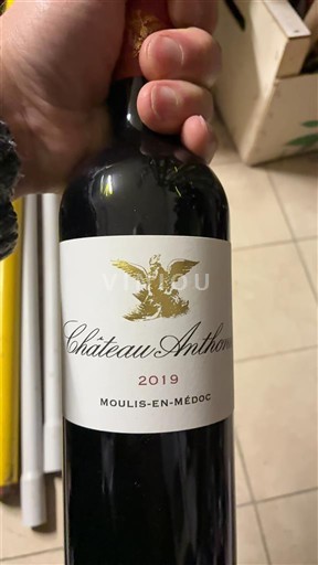 Bordeaux Moulis-en-Médoc Château Anthonic 2019