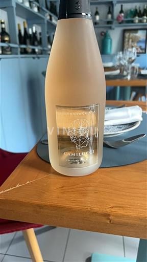 Lombardy Franciacorta Camilucci Ammonites Rosé Không niên vụ