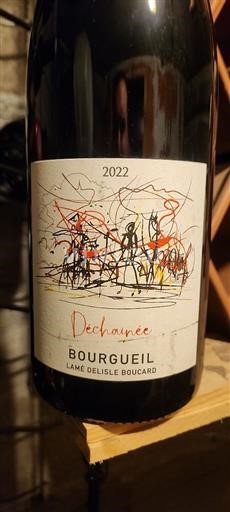 Valle del Loira Bourgueil Lamé Delisle Boucard Déchaînée 2022