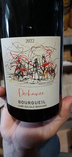 Valle della Loira Bourgueil Lamé Delisle Boucard Déchaînée 2022