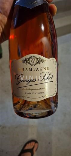 Champagne Georges Sohet Nos Jardins Non Millésimé