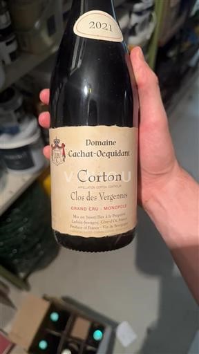 Burgundi Corton Grand Cru Domaine Cachat-Ocquidant Clos des Vergennes 2021