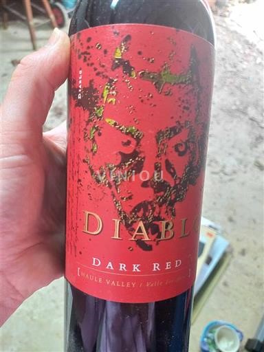 Vin Rouge sec Dark Red Diablo 2021 Chili Maule Valley