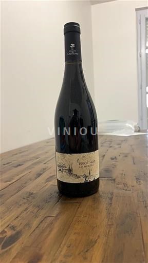 Vin Rouge sec Les Muriers Castelnau 2015 France Languedoc AOC