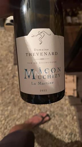 Burgundija Mâcon in Mâcon-villages Domaine Thevenard La Martine 2022