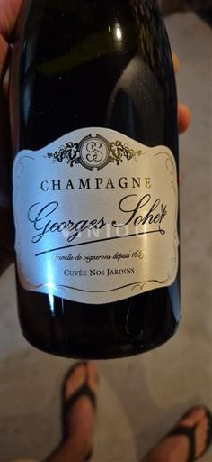 Champagne Georges Sohet Nos Jardins Non Millésimé