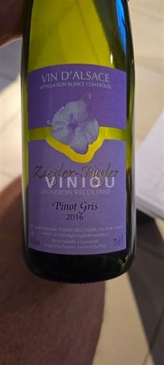 Alsácia Pinot gris Ziegler-Fugler Pinot Gris 2016