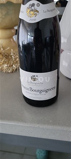Bourgogne La Burgondie 2020