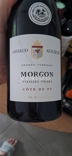 Vin Rouge sec Côte du Py Arnaud Aucoeur 2021 France Beaujolais Morgon AOC hve